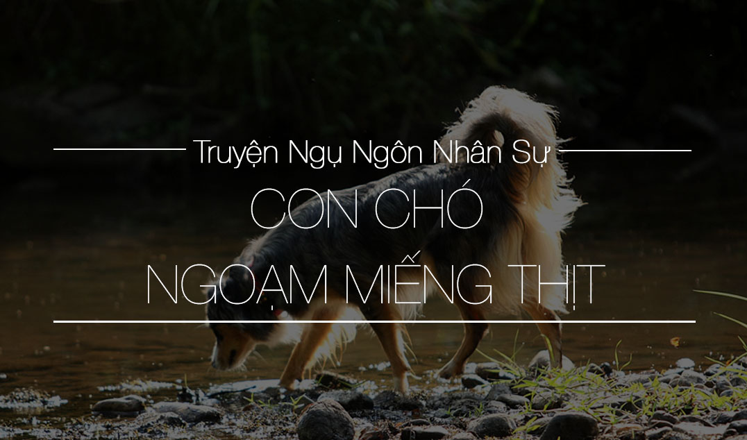 con cho ngam mieng thit