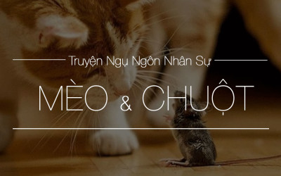 Mèo và Chuột