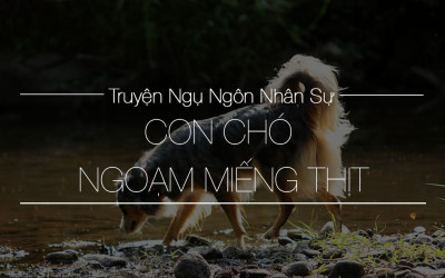 CON CHÓ NGOẠM MIẾNG THỊT