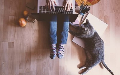 5 dấu hiệu nhân viên của bạn không thể làm việc từ xa