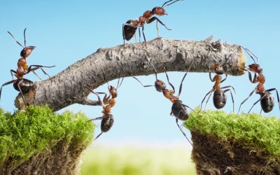 4 cái “được” khiến tôi sẵn sàng từ bỏ những cái “mất”