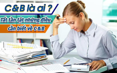 Chuyên viên C&B là gì? Tất cả thông tin cần biết về C&B