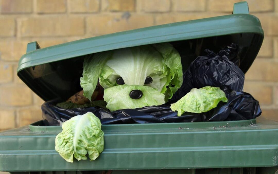 Bạn chụp gì loanh quanh ở nhà để có ảnh thú vị & hài hước